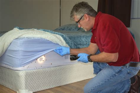 Do Latex Foam Mattresses Repel Bed Bugs